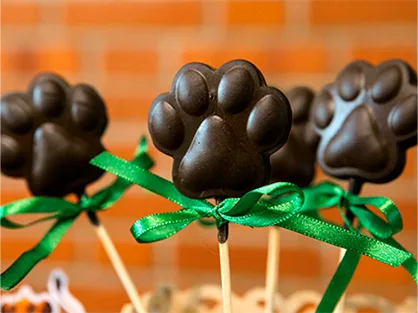 curso-para-iniciantes-na-confeitaria-pet